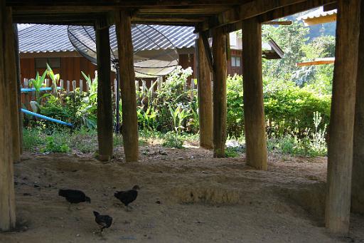 0868 onderweg Mae Hong Son.JPG